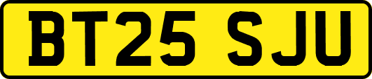 BT25SJU