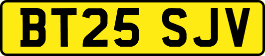 BT25SJV