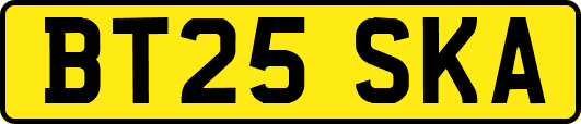 BT25SKA
