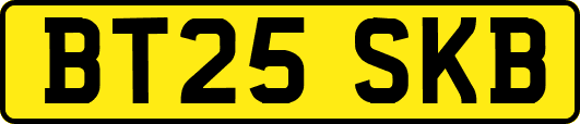 BT25SKB