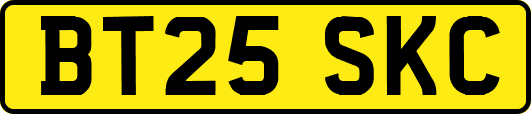 BT25SKC