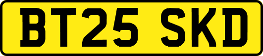 BT25SKD