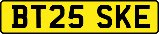 BT25SKE