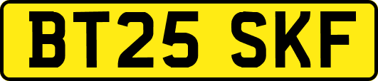 BT25SKF