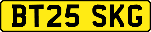 BT25SKG
