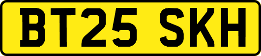 BT25SKH