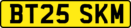 BT25SKM