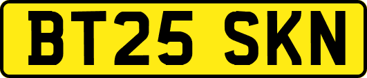 BT25SKN