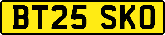 BT25SKO