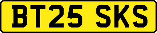 BT25SKS