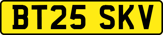 BT25SKV