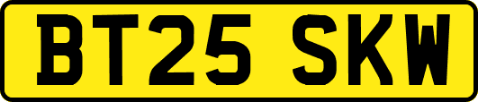 BT25SKW