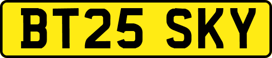 BT25SKY