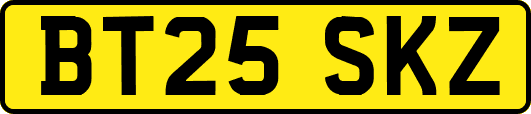 BT25SKZ