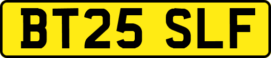 BT25SLF