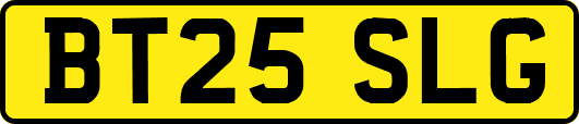 BT25SLG