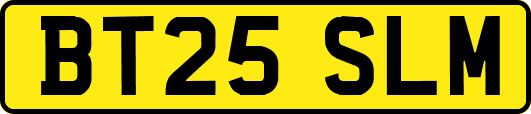 BT25SLM