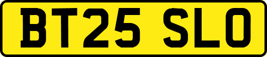 BT25SLO