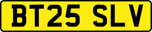 BT25SLV