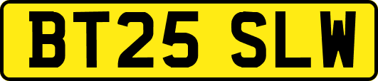 BT25SLW