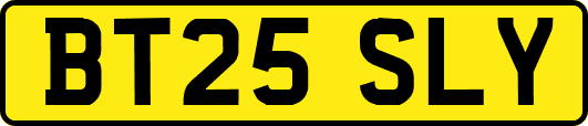 BT25SLY