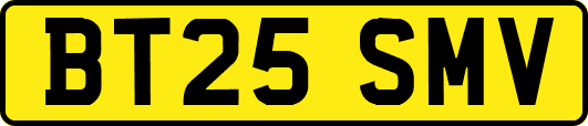 BT25SMV