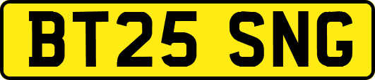 BT25SNG