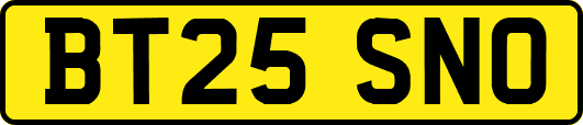 BT25SNO