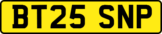 BT25SNP
