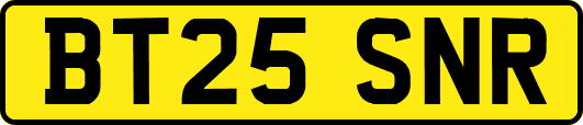 BT25SNR