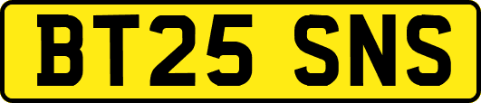 BT25SNS
