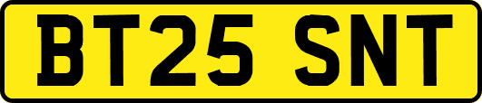 BT25SNT