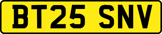 BT25SNV
