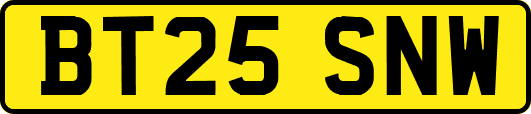 BT25SNW