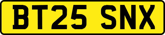 BT25SNX