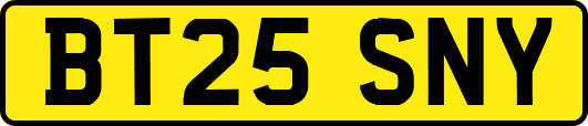 BT25SNY