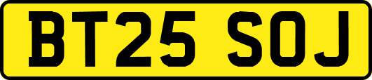 BT25SOJ