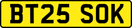 BT25SOK