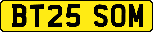BT25SOM
