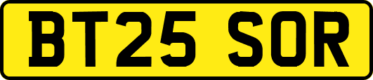 BT25SOR