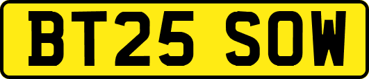 BT25SOW