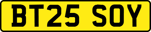 BT25SOY