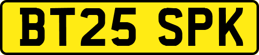 BT25SPK