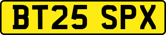 BT25SPX