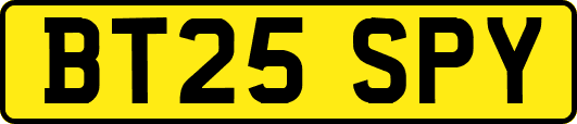 BT25SPY