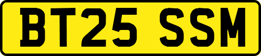 BT25SSM