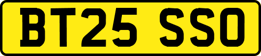 BT25SSO
