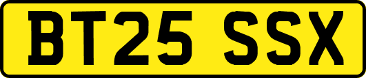 BT25SSX