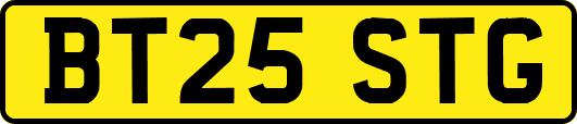 BT25STG