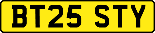 BT25STY